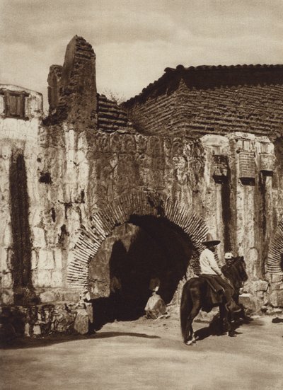 Meksika: Oaxaca, Tuberia espanola (s/b fotoğraf) by Cecile Seler Sachs