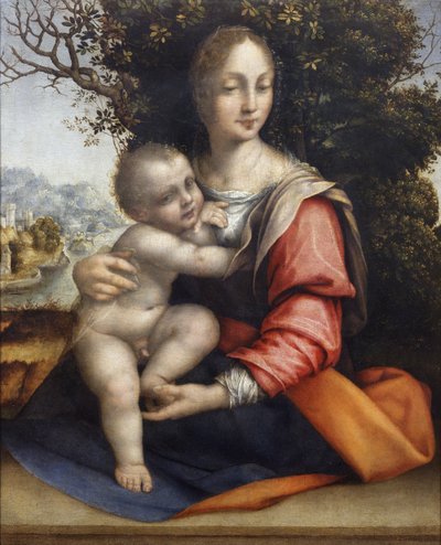 Madonna ve Çocuk (Ağacın Hanımı) by Cesare da Sesto