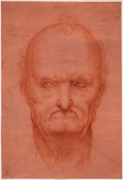 Yaşlı adamın başı, c. 1515 (hazırlanmış kırmızı kağıt üzerine kan) by Cesare da attr.to Sesto