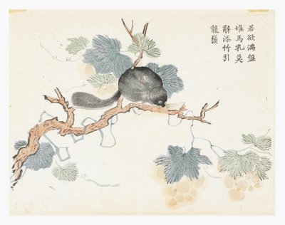 Hardal Tohumu Bahçesi by Chang Chao