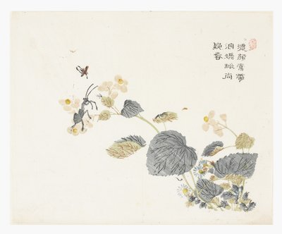 Hardal Tohumu Bahçesi by Chao Mon Yu