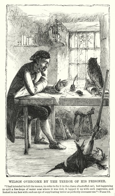 Wilson, tutsağının dehşetine yenik düştü (gravür) by Charles Altamont Doyle