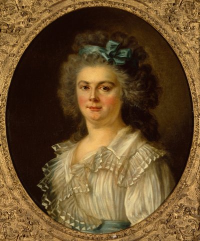Bir Bayan Portresi by Charles Amedee Philippe van Loo