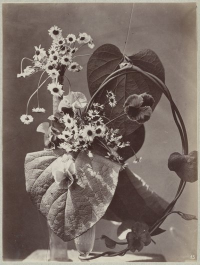 Cam vazolarla çiçek çalışması by Charles Aubry (manner of)