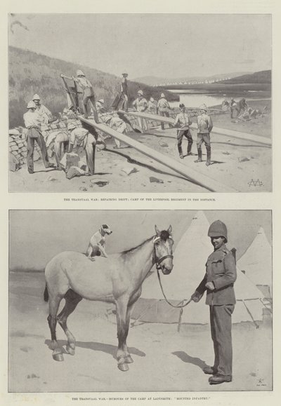 Transvaal Savaşı by Charles Auguste Loye