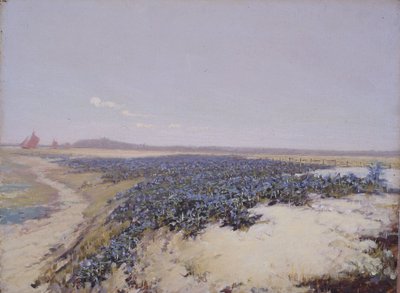 Çiçeklerle Kaplı Kumullar (tuval üzerine yağlıboya) by Charles Augustus Lasar