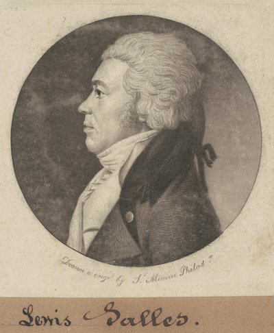 Lewis Salonları by Charles B. J. Févret de Saint Mémin