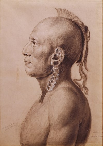 Cachasunghia, bir Osage Warrior, 1806 (kağıt üzerinde kurşun kalem ve karakalem) by Charles Balthazar Julien Févret de Saint Mémin