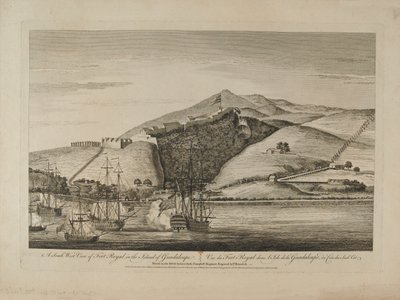 ?Guadaloupe Adası