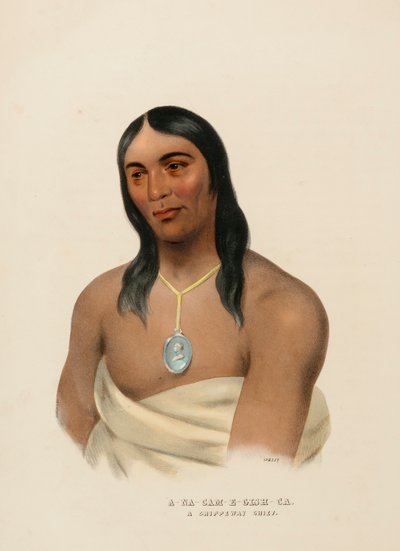  by Charles Bird King