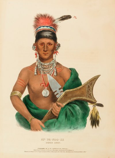  by Charles Bird King