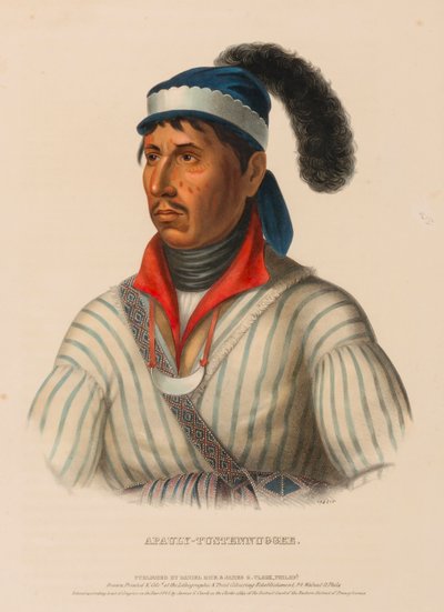  by Charles Bird King