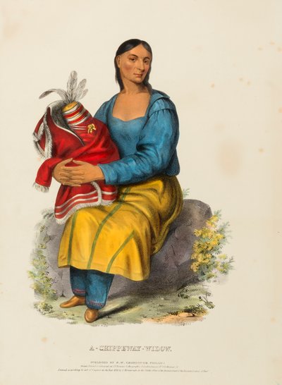  by Charles Bird King