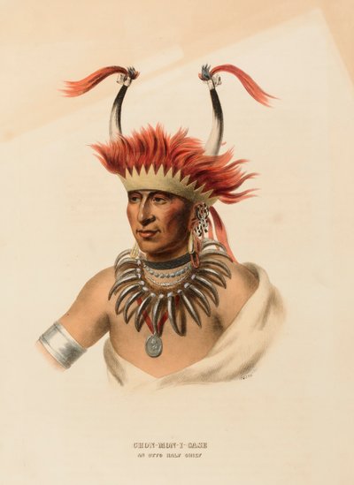  by Charles Bird King