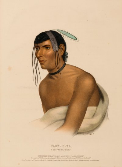  by Charles Bird King