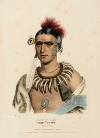  by Charles Bird King