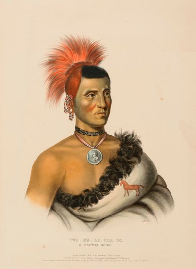  by Charles Bird King