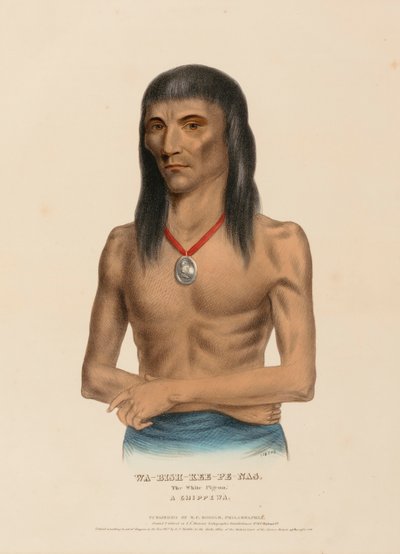  by Charles Bird King