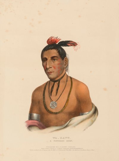  by Charles Bird King