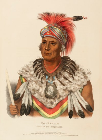  by Charles Bird King