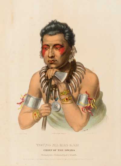  by Charles Bird King