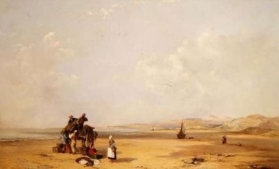 Cardigan Bay