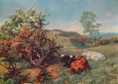 Şimdilerde Sığırlarla Manzara, Dorking, c1899 by Charles Collins
