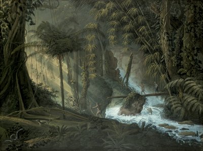 Brezilya Ormanı by Charles Comte de Clarac