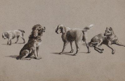 Köpek çalışmaları (kağıt üzerine kalem, fırça, mürekkep ve guaj boya) by Charles Cooper Henderson