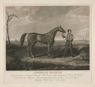 Amerikan Tutulması by Charles Cushing Wright