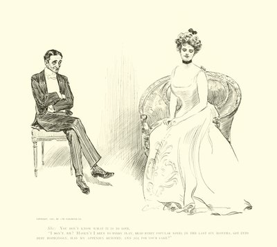Sosyal Merdiven için İllüstrasyon by Charles Dana Gibson
