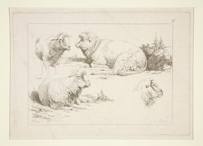 Koyun Çalışması by Charles Echard