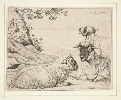 üç koyun by Charles Echard