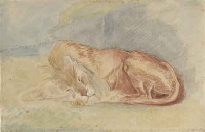 uyuyan aslan by Charles Edmé Saint Marcel Cabin