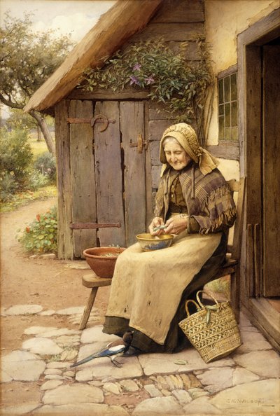 İnce Tüylü Bir Arkadaş (kağıt üzerinde w/c) by Charles Edward Wilson