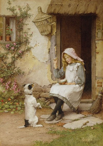 Sessiz İtiraz by Charles Edward Wilson