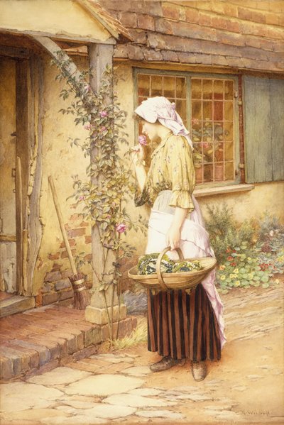 En Tatlı Gül (kağıt üzerinde w/c) by Charles Edward Wilson