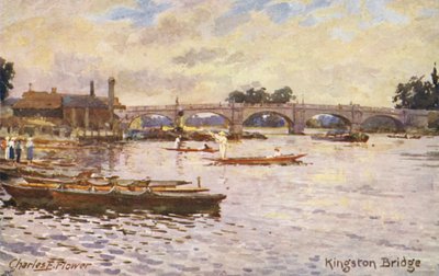  by Charles Edwin Flower