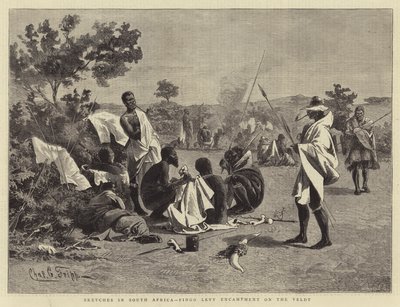 Güney Afrika