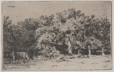 Fontainebleau Ormanı