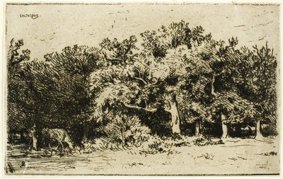 Fontainebleau Ormanı