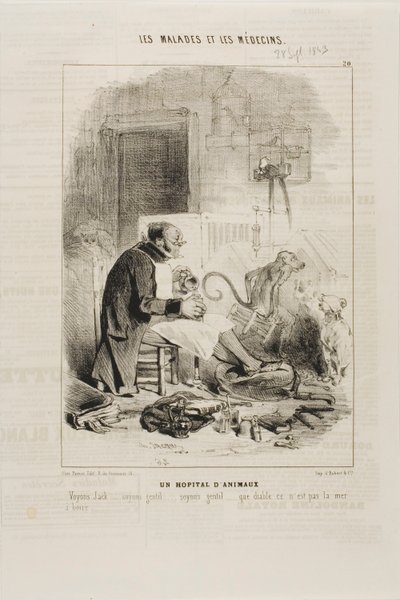 Bir Hayvan Hastanesi (levha 20) by Charles Emile Jacque