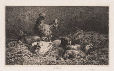 tavuklar by Charles Emile Jacque