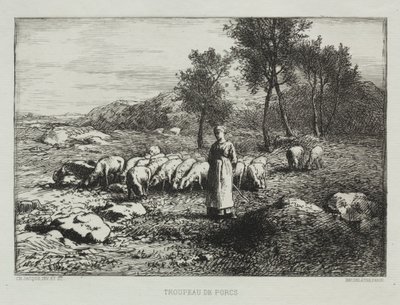 domuz sürüsü by Charles Emile Jacque