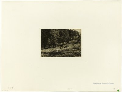 meyve bahçesi by Charles Emile Jacque