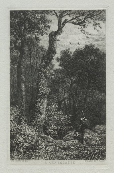 Woodcock