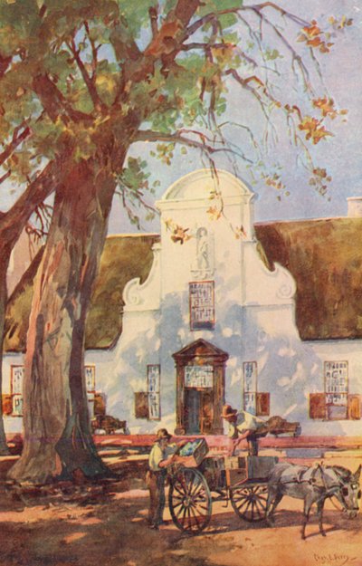 Groot Constantia, Simon van der Stel