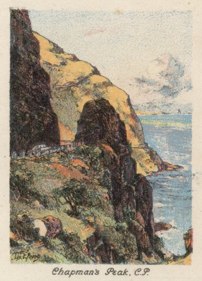 Güney Afrika: Chapman
