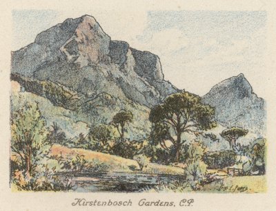 Güney Afrika: Kirstenbosch Bahçeleri, CP (renkli lito) by Charles Ernest Peers