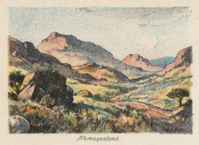 Güney Afrika: Namaqualand (renkli lito) by Charles Ernest Peers